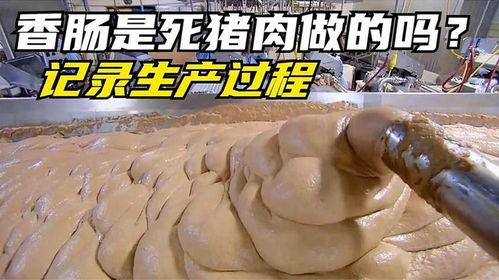 火腿制作过程爆料视频大全,视频大全带你走进美味诞生之旅 第3张 火腿制作过程爆料视频大全,视频大全带你走进美味诞生之旅 第3张