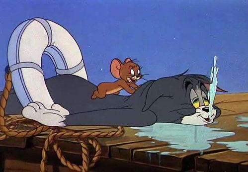 杰瑞女友爆料视频,揭秘背后惊人真相